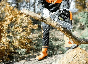 Tree Stump Grinding Removal – What’s Best for You?